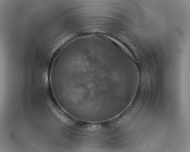 X0000112770398200908201512