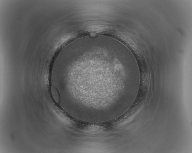 X0000112770399200908201512