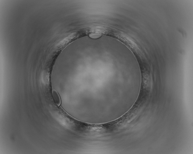 X0000112770401200908201512
