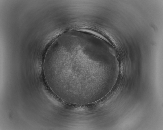 X0000112770402200908201512