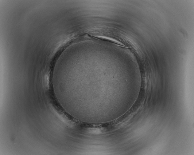 X0000112770404200908201512