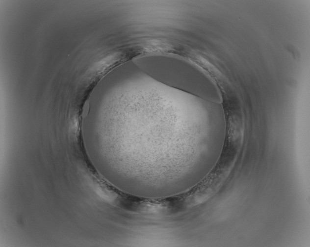 X0000112770405200908201512