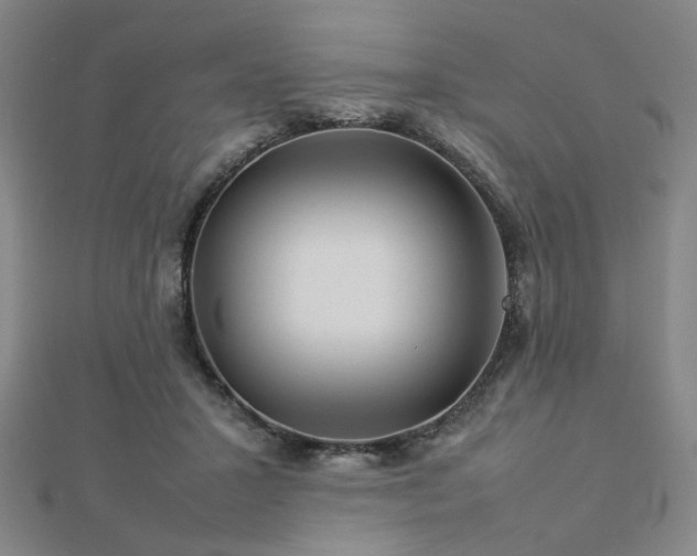 X0000112770407200908201512
