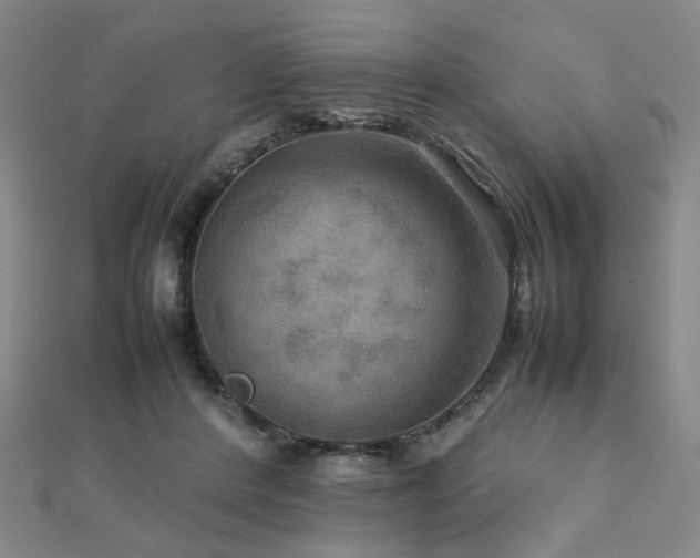 X0000112770408200908201512