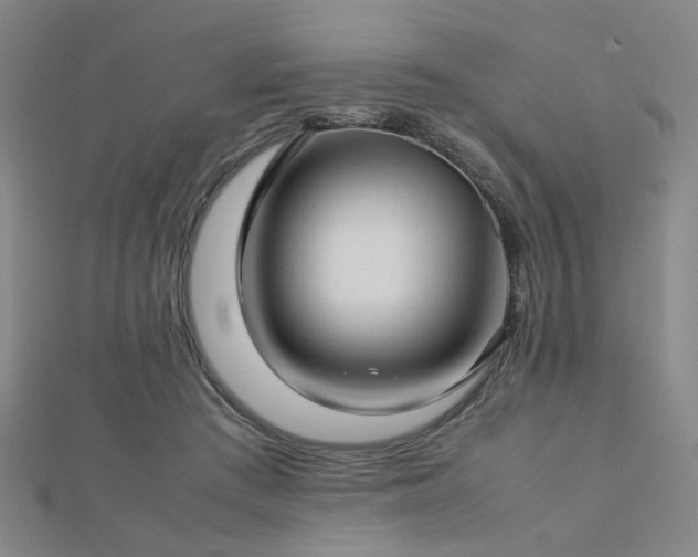 X0000112770409200908201512