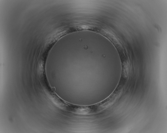 X0000112770410200908201512