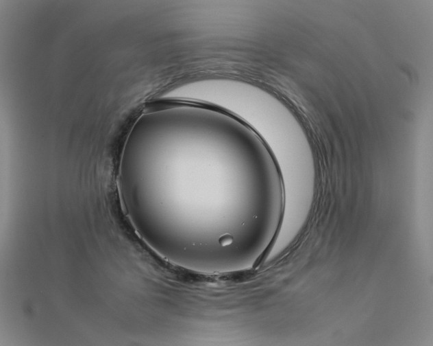 X0000112770411200908201512