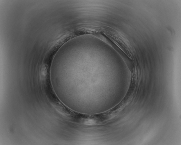 X0000112770412200908201512
