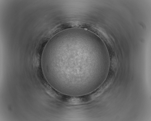 X0000112770413200908201512