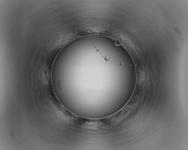 X0000112770414200908201512