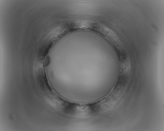 X0000112770415200908201512