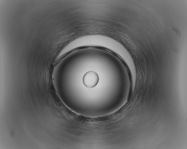 X0000112770416200908201512