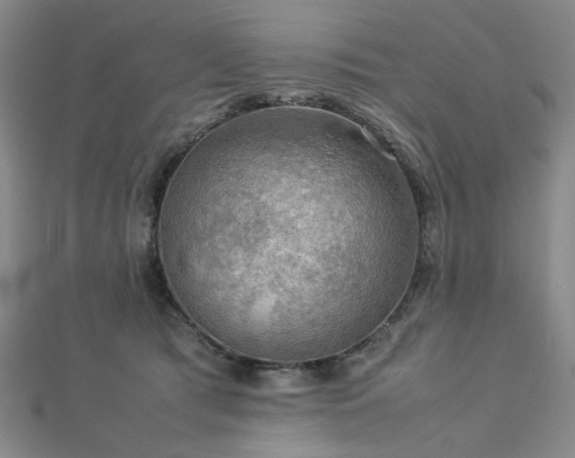 X0000112770417200908201512