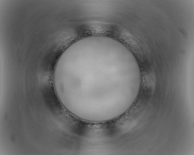 X0000112770419200908201512