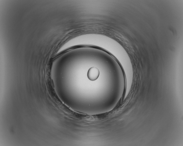 X0000112770421200908201512