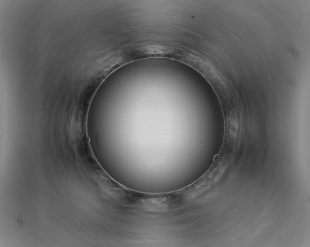 X0000112770422200908201512