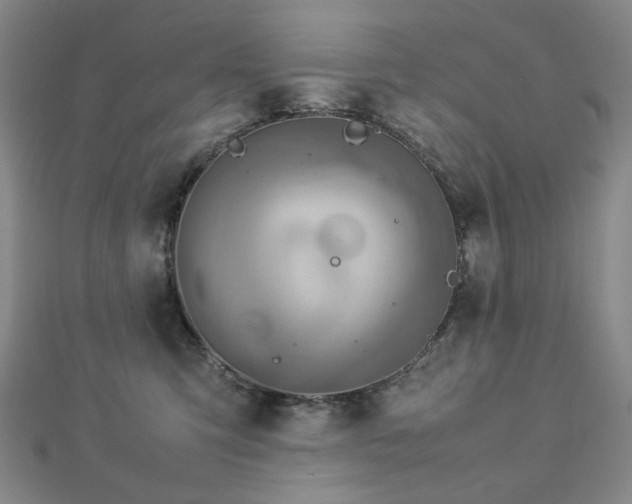 X0000112770423200908201512