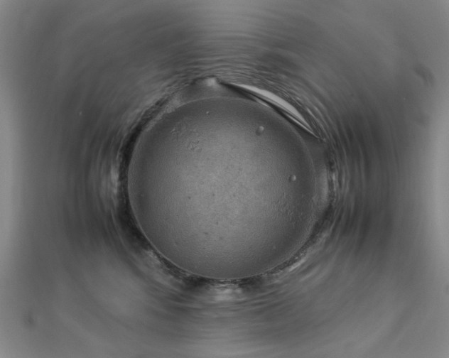 X0000112770424200908201512