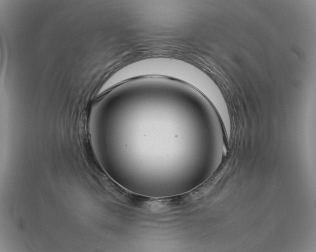 X0000112770425200908201512