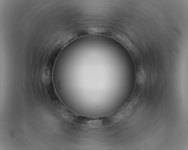 X0000112770426200908201512
