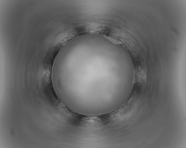 X0000112770427200908201512