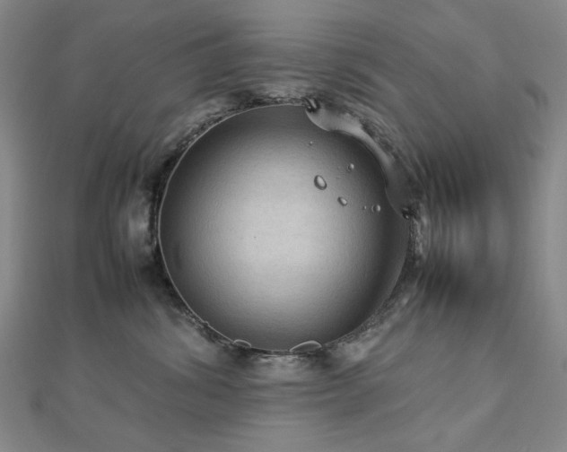 X0000112770428200908201512