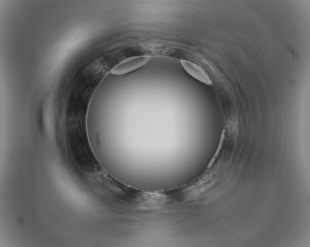 X0000112770429200908201511