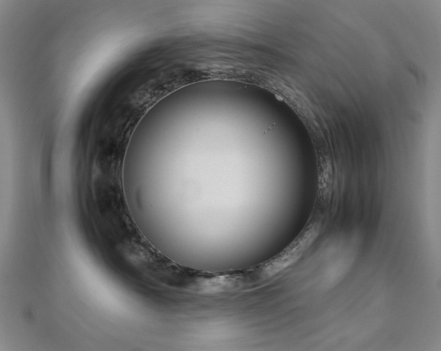 X0000112770430200908201511
