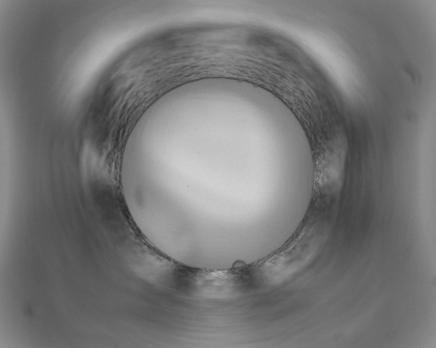 X0000112770431200908201511