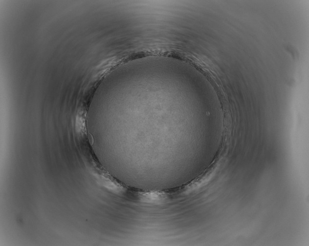 X0000112770432200908201511