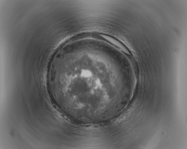 X0000112770434200908201511