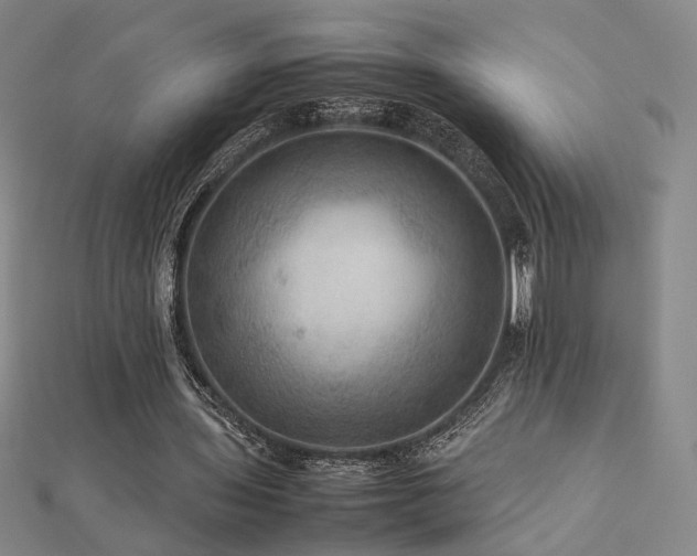 X0000112770435200908201511