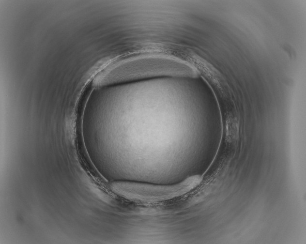 X0000112770436200908201511