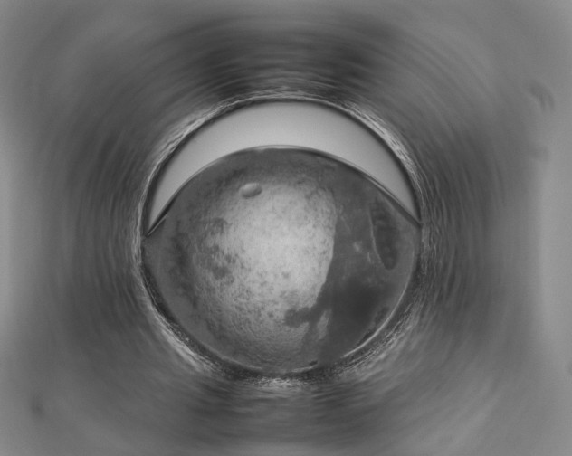 X0000112770437200908201511