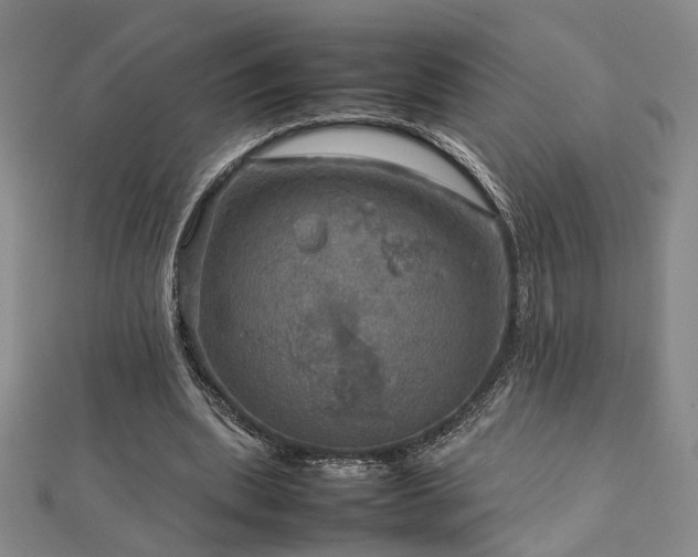 X0000112770439200908201511