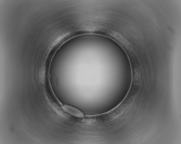 X0000112770440200908201511
