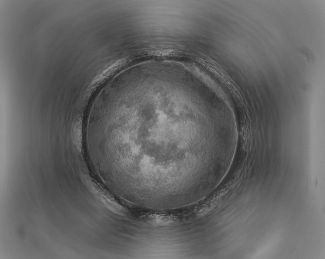 X0000112770442200908201511