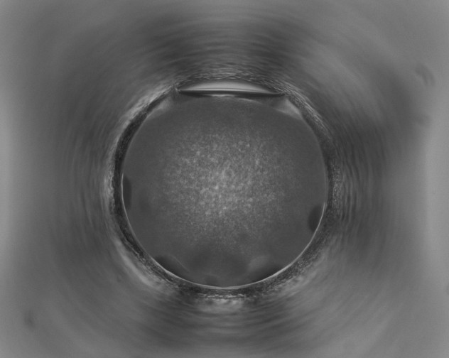 X0000112770443200908201511
