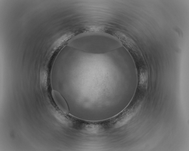 X0000112770444200908201511