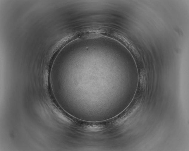 X0000112770445200908201511