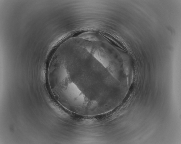 X0000112770446200908201511