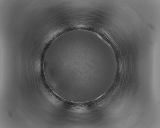 X0000112770447200908201511