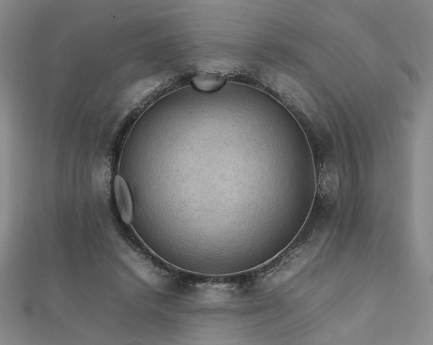 X0000112770448200908201511