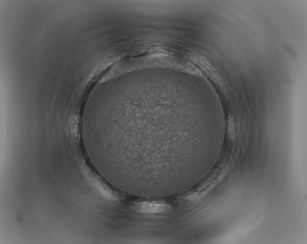 X0000112770449200908201511
