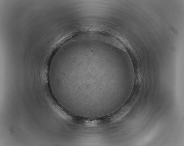 X0000112770450200908201511