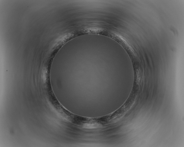 X0000112770451200908201511