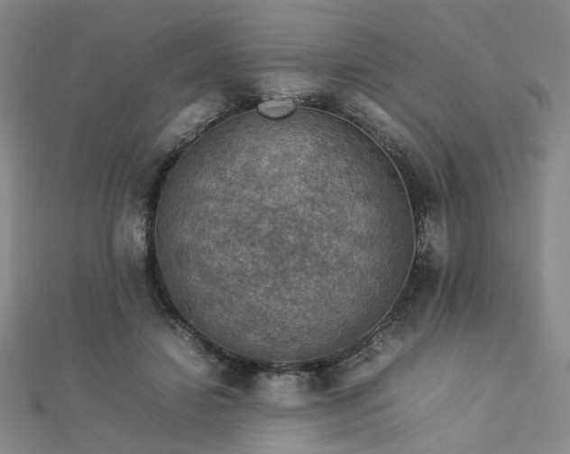 X0000112770452200908201511