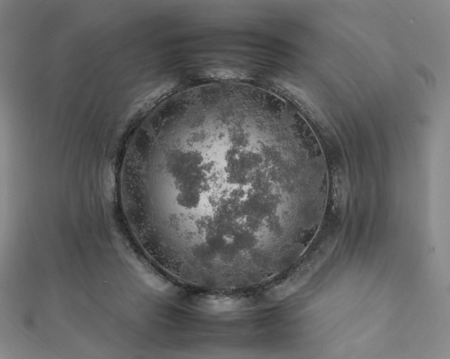 X0000112770453200908201511