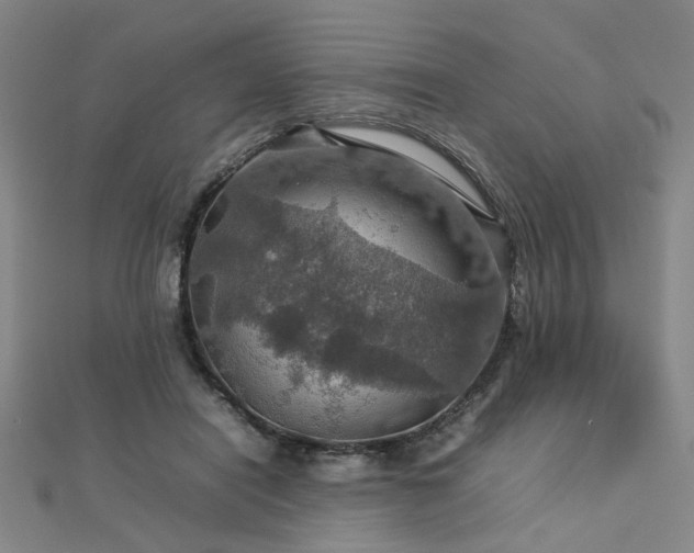 X0000112770454200908201511