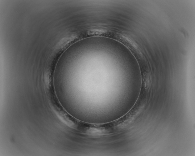 X0000112770455200908201511